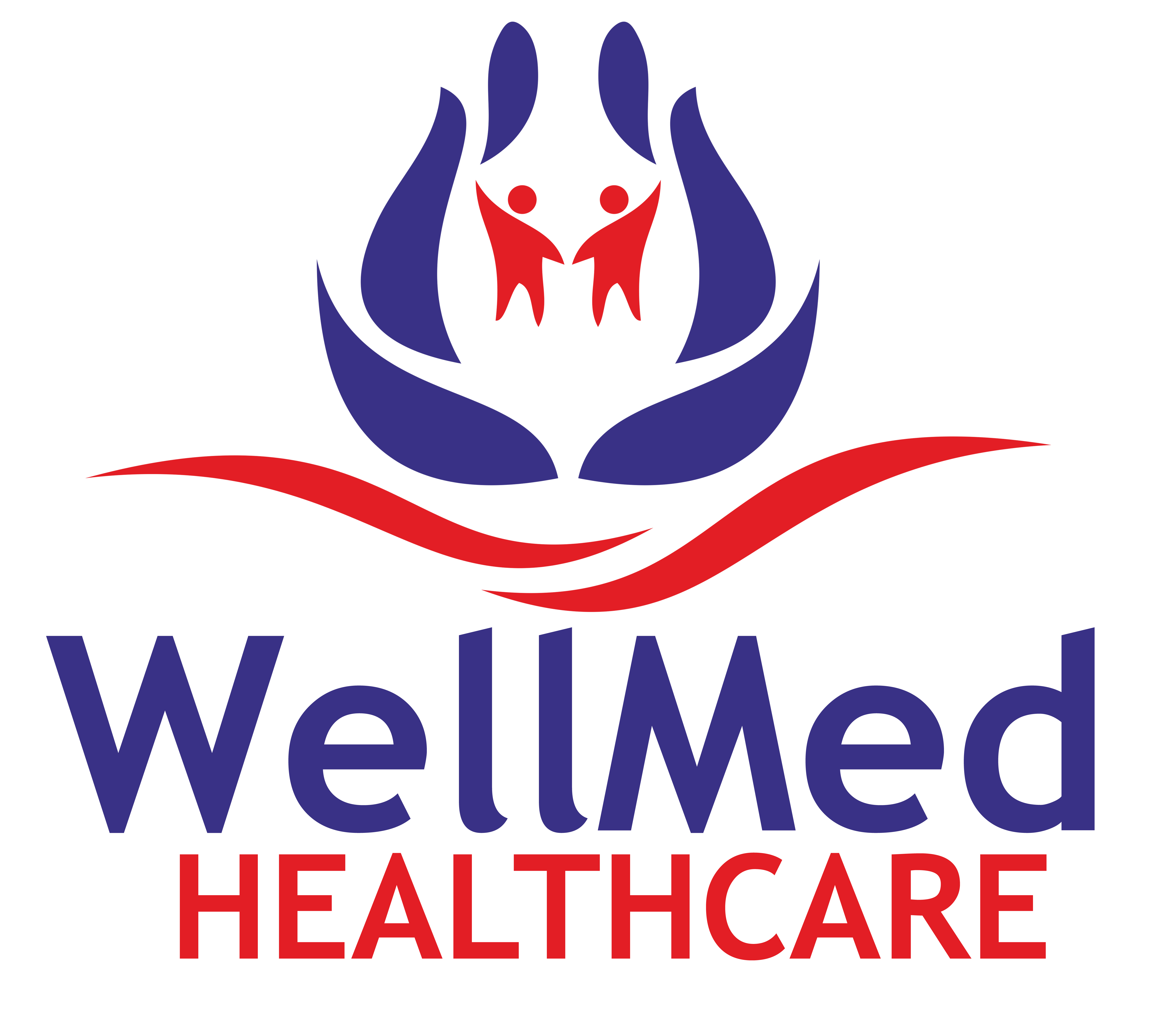 Wellmed Provider Portal - ez0p9in