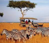 5 Days Vacation in Nairobi at 22% Discount