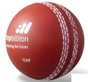 Cricket Ball at Up to 13% Discount