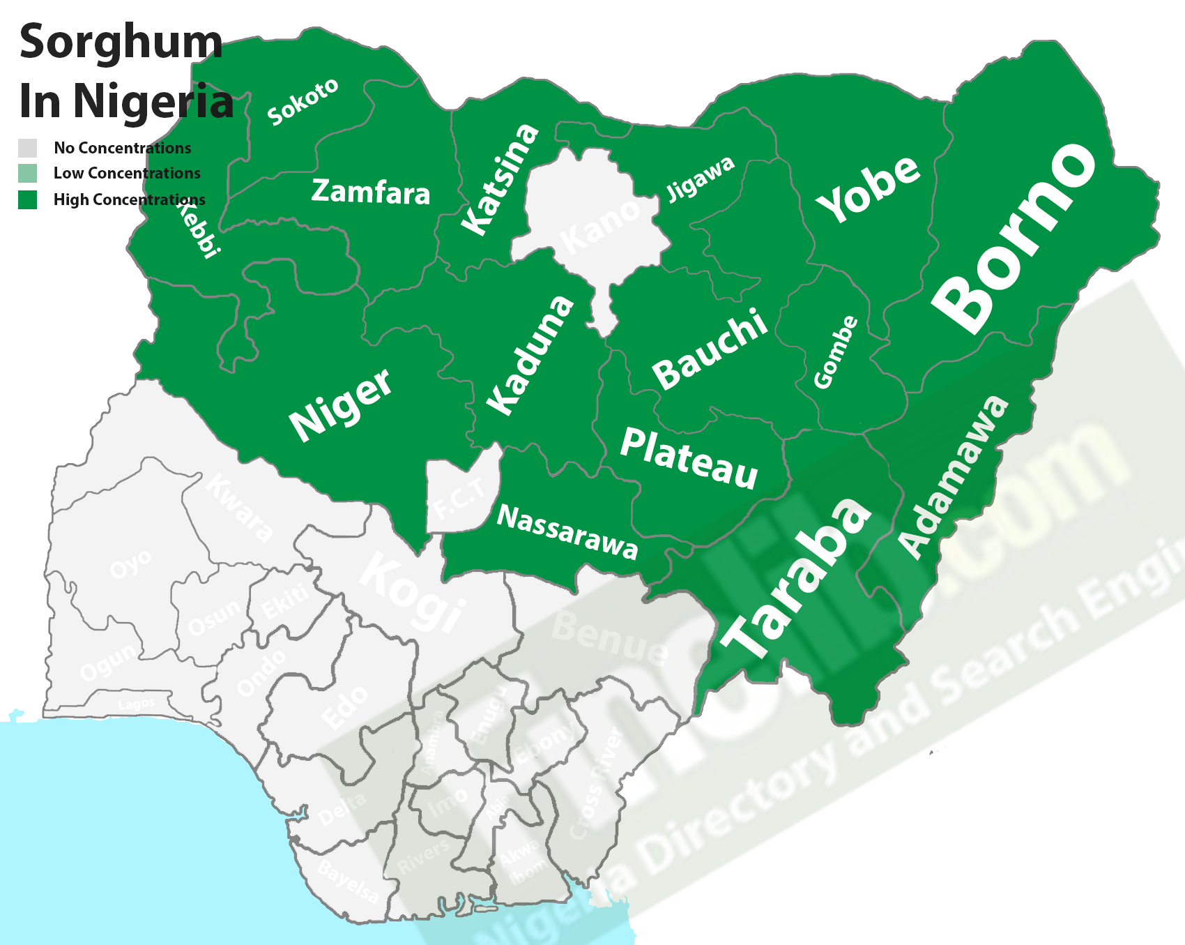 Sorghum cash crops in Nigeria