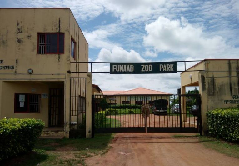 Image result for funaab zoo