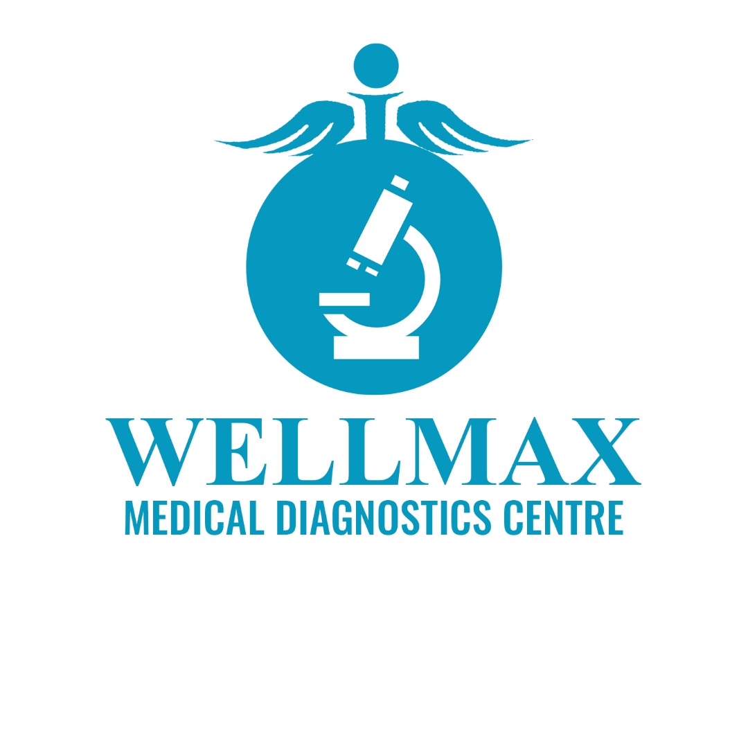 Wellmax Medical Diagnostic Centre Ibeju Lekki Lagos - finelib.com
